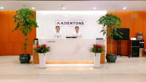 匯全國(guó)力量 筑大成之道——大成25周年境內(nèi)分所篇